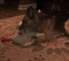 Изображение Изображение