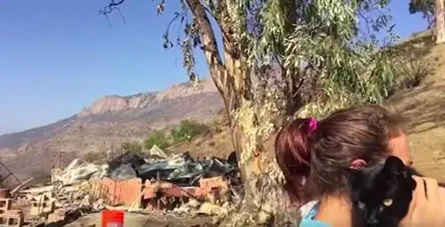 Изображение Изображение