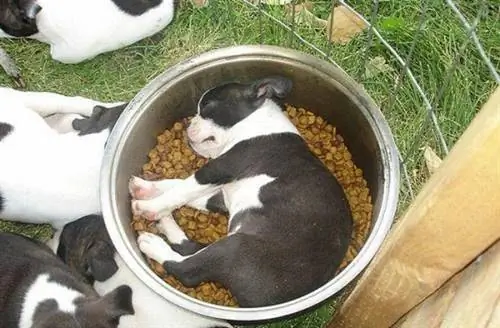 Изображение Изображение