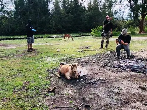 Изображение Изображение