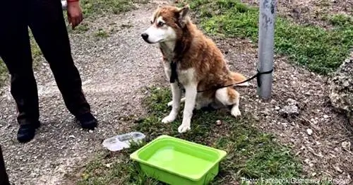 Изображение Изображение