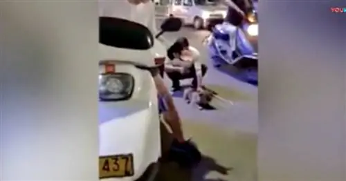 Изображение Изображение