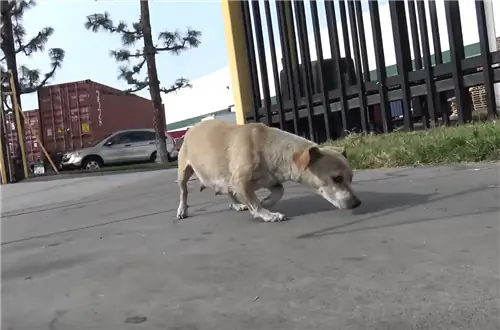 Изображение Изображение