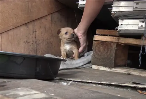 Изображение Изображение