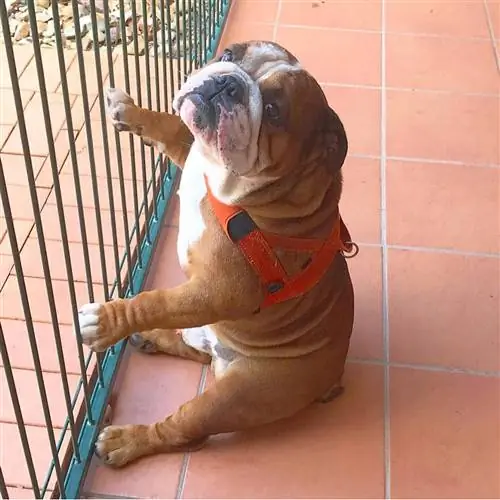 Изображение Изображение