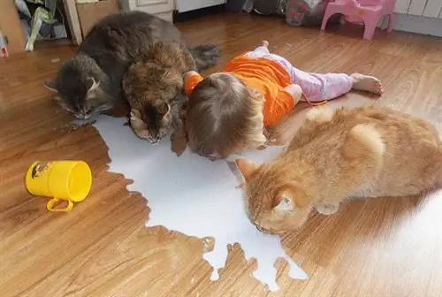 Изображение Изображение