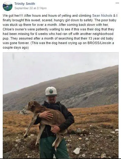 Изображение Изображение
