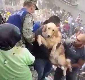 Изображение Изображение
