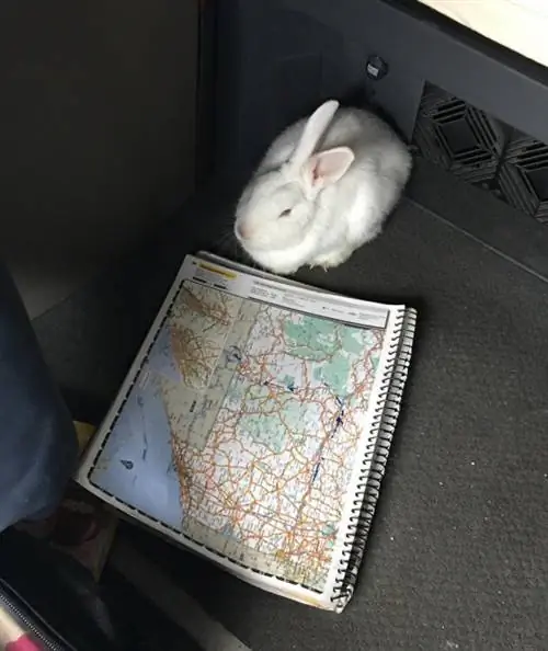 Изображение Изображение