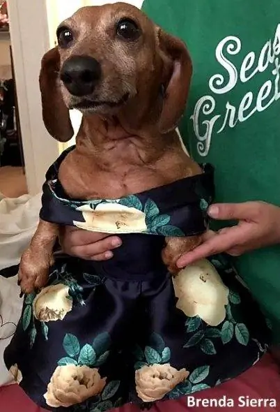 Изображение Изображение