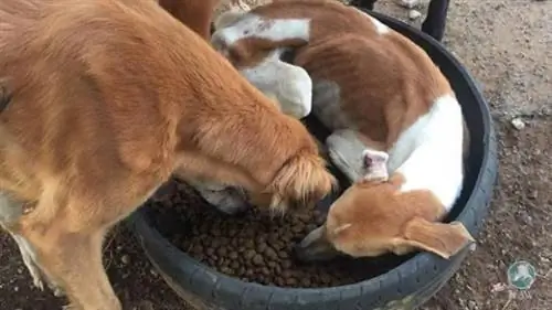 Изображение Изображение