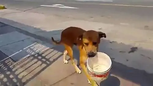 Изображение Изображение