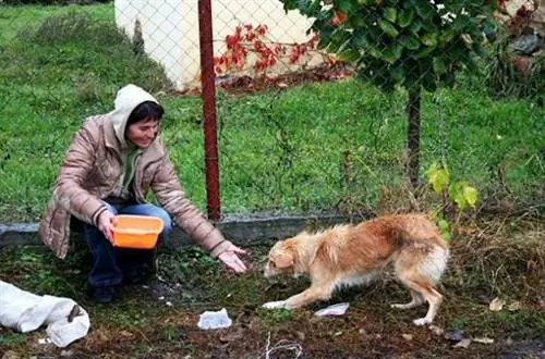 Изображение Изображение