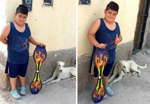 Изображение Изображение