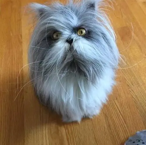 Изображение Изображение