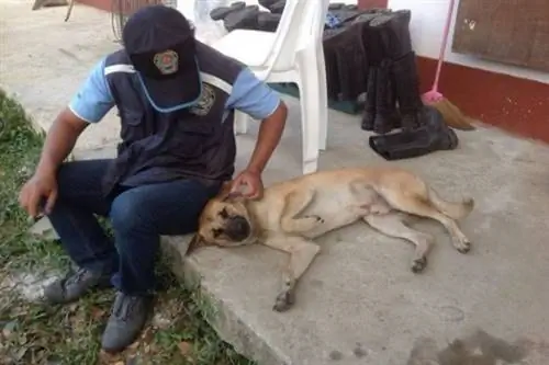 Изображение Изображение