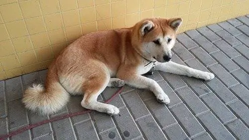 Изображение Изображение