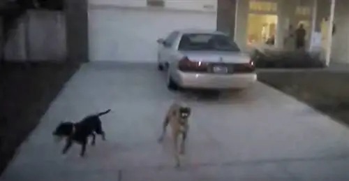 Изображение Изображение