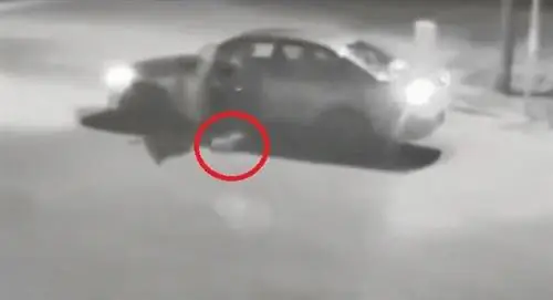 ПОСМОТРИТЕ шокирующее видео одного человека, который не заслуживает любви этого щенка