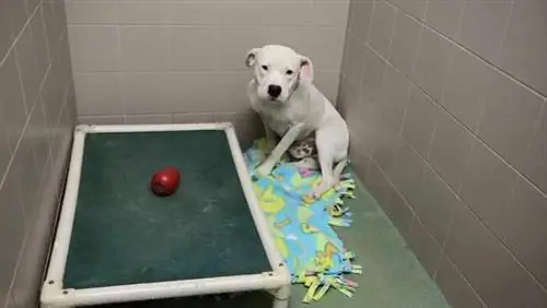 Изображение Изображение