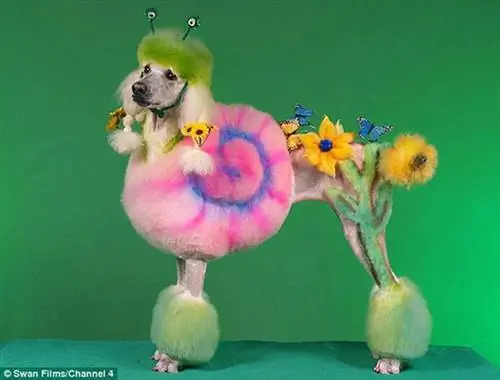 Изображение Изображение