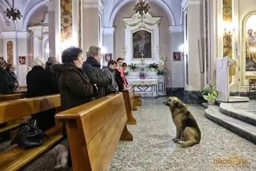 Изображение Изображение