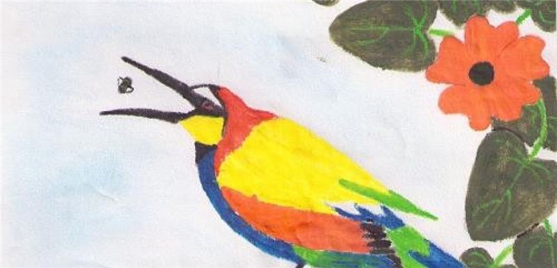 Image Image