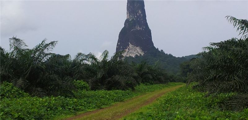 Image Image