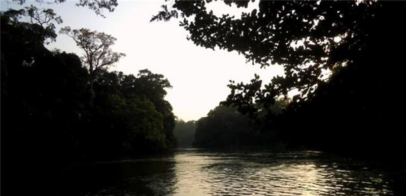 Image Image