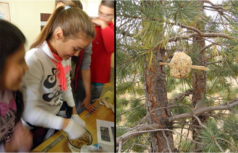 Недавно CZIP (BirdLife в Черногории) провела семинары по гнездовым ящикам и кормушкам для птиц и научила студентов и учителей, как адаптировать участки для птиц. Фото: CZIP Недавно CZIP (BirdLife в Черногории) провела семинары по гнездовым ящикам и кормушкам для птиц и научила студентов и учителей, как адаптировать участки для птиц. Фото: CZIP
