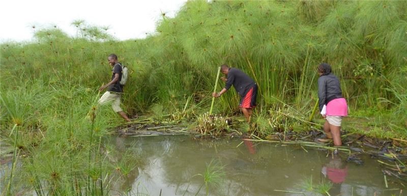Члены LVSB, ведущие IBmonitoring © Виктор Оланго