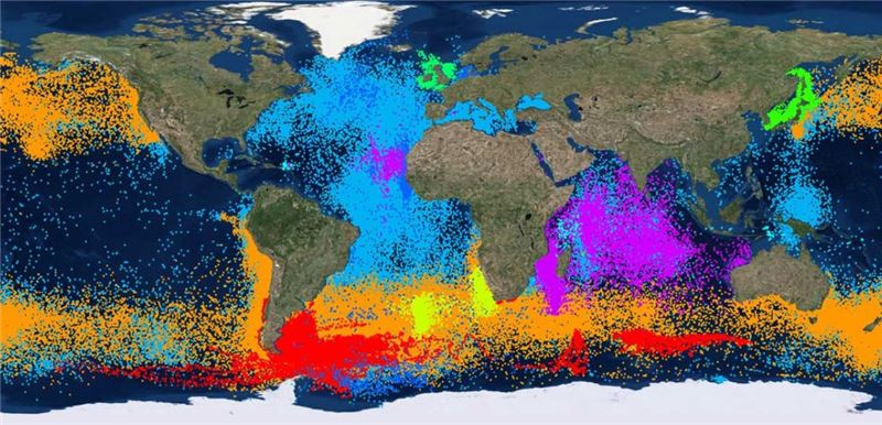 www.seabirdtracking.org www.seabirdtracking.org