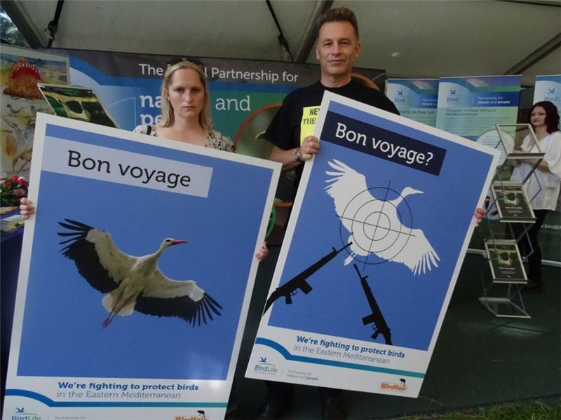 BirdLife проводит кампанию по всей Европе, чтобы остановить незаконное убийство птиц (изображение А. Лонга) BirdLife проводит кампанию по всей Европе, чтобы остановить незаконное убийство птиц (изображение А. Лонга)