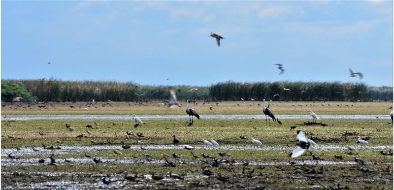 Очень высокое разнообразие в 3 км от лагуны Чунг © Bird Watch Zambia Очень высокое разнообразие в 3 км от лагуны Чунг © Bird Watch Zambia