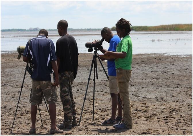 Идет подсчет птиц © Bird Watch Zambia Идет подсчет птиц © Bird Watch Zambia