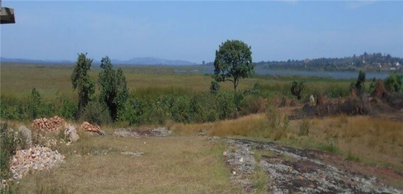 Заболоченный участок Lutembe Wetland © RAMCEA