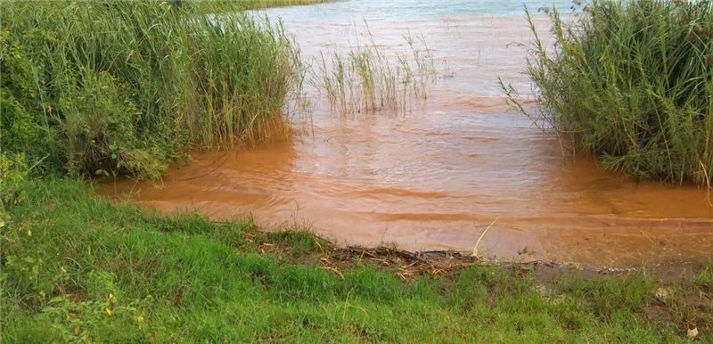 Отложения в озере Киву, места разведения рыбы находятся под угрозой © ACNR Отложения в озере Киву, места разведения рыбы находятся под угрозой © ACNR