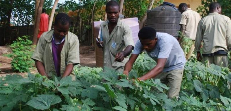 Устойчивое производство продуктов питания в Нигери © WFP Устойчивое производство продуктов питания в Нигери © WFP