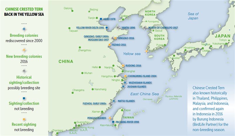 На основе книги Threatened Birds of Asia: The BirdLife International Red DatBook На основе книги Threatened Birds of Asia: The BirdLife International Red DatBook