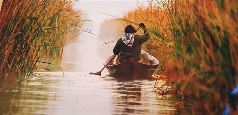 рыбак в центральных болотах Ирака © Nature Irak рыбак в центральных болотах Ирака © Nature Irak