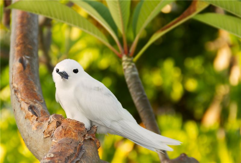 © 18042011 / Shutterstock © 18042011 / Shutterstock