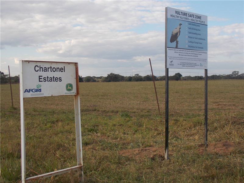 Брендирование сайта Chartonel Estates, Безопасная зона Vulture в ChisambIB © BWZ Брендирование сайта Chartonel Estates, Безопасная зона Vulture в ChisambIB © BWZ