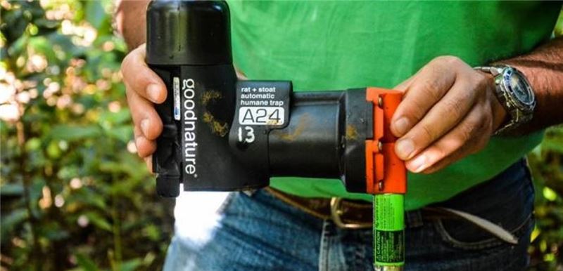 Крысоловка Goodnature® A24 с самовозвратом © Кешав Рамфул, MWF Крысоловка Goodnature® A24 с самовозвратом © Кешав Рамфул, MWF