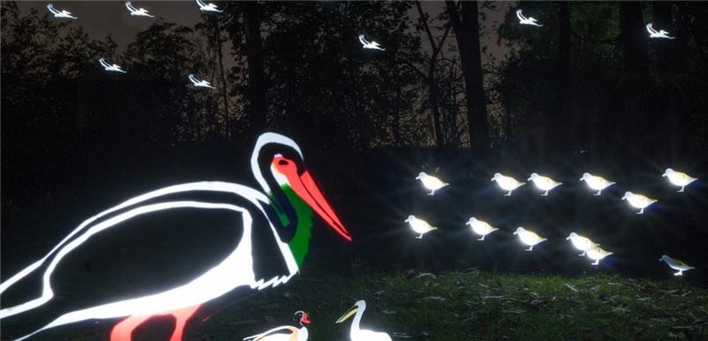 Изображения птиц, находящихся под угрозой исчезновения, проецируются на местные сцены