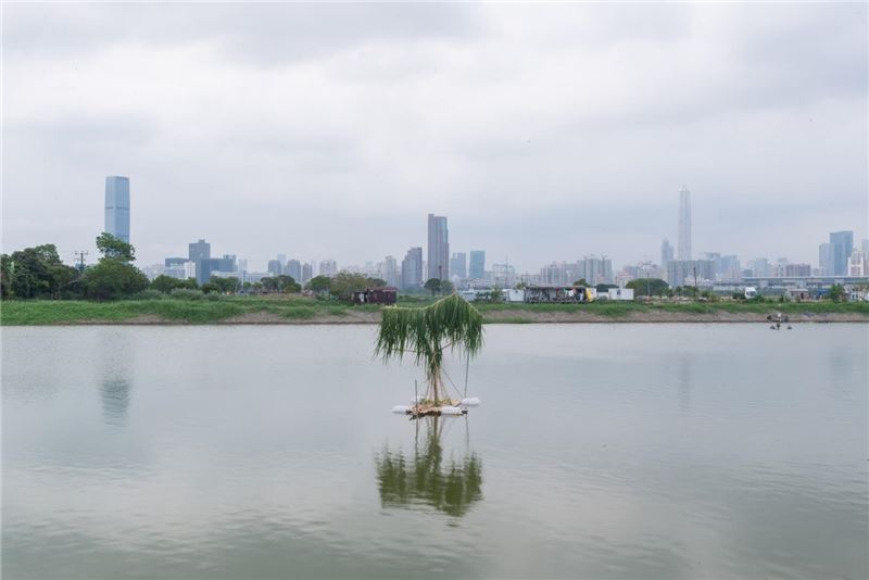 плавучая платформа, созданная участниками © Hong Kong Birdwatching Society / Cheung Wai Lok, Matthew Kwan