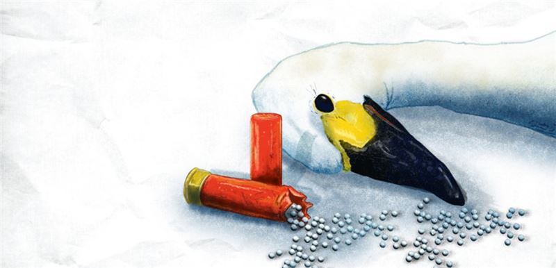 © BirdLife Европа и Центральная Азия © BirdLife Европа и Центральная Азия