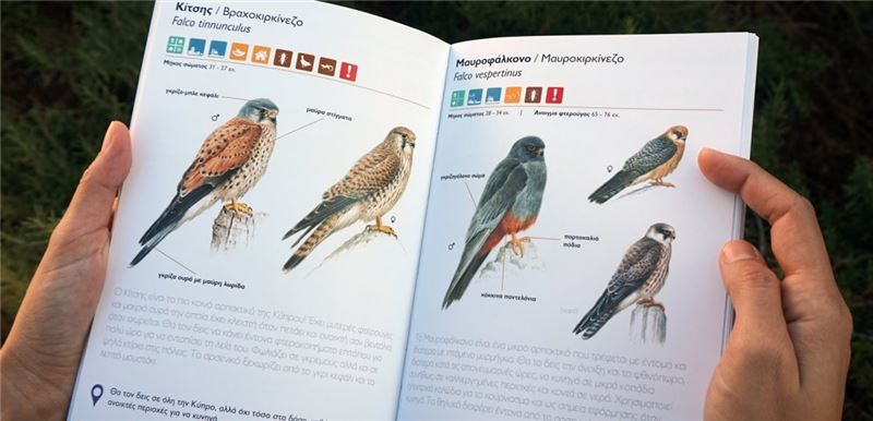 © BirdLife Кипр © BirdLife Кипр