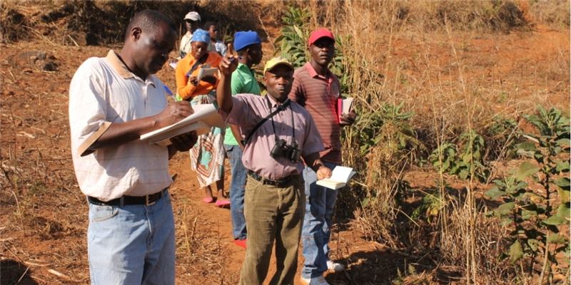 Члены масангони проводят исследования птиц © BLZ