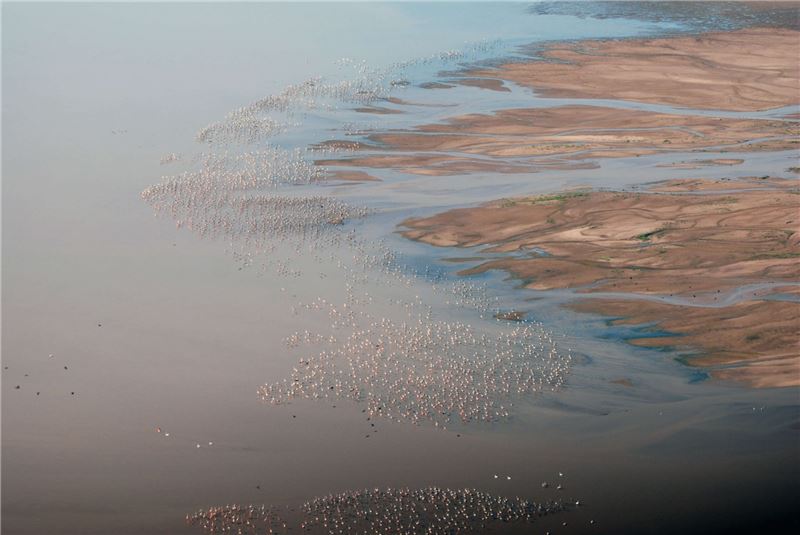 Озеро находится под угрозой из-за добычи воды, загрязнения и неустойчивого сельского хозяйства © Gustavo Bruno Озеро находится под угрозой из-за добычи воды, загрязнения и неустойчивого сельского хозяйства © Gustavo Bruno