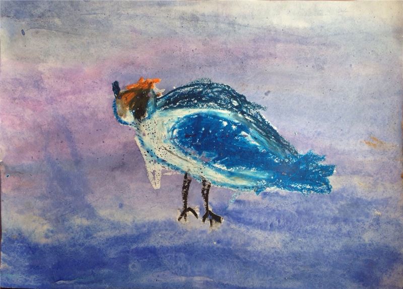 Победитель конкурса LOB Spring Alive Drawing 2016 © LOB / BirdLife Latvi Победитель конкурса LOB Spring Alive Drawing 2016 © LOB / BirdLife Latvi